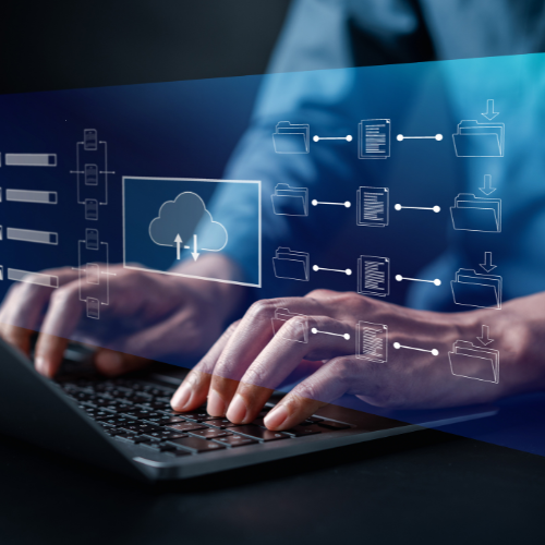 Content Management Systems (CMS)